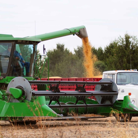A combine fills a hauler with grain
